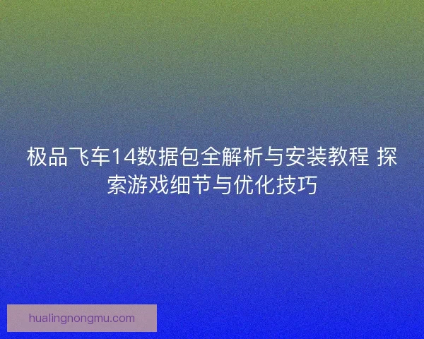 极品飞车14数据包全解析与安装教程 探索游戏细节与优化技巧