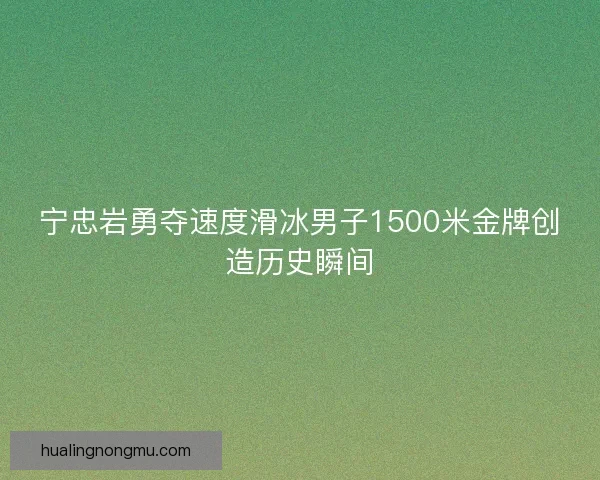 宁忠岩勇夺速度滑冰男子1500米金牌创造历史瞬间