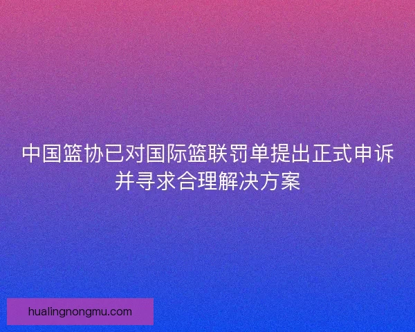 中国篮协已对国际篮联罚单提出正式申诉并寻求合理解决方案