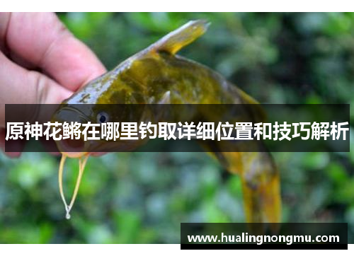 原神花鳉在哪里钓取详细位置和技巧解析
