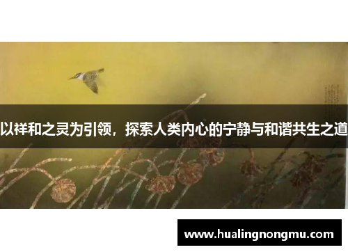 以祥和之灵为引领，探索人类内心的宁静与和谐共生之道