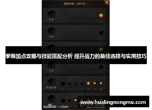 拳猴加点攻略与技能搭配分析 提升战力的最佳选择与实用技巧