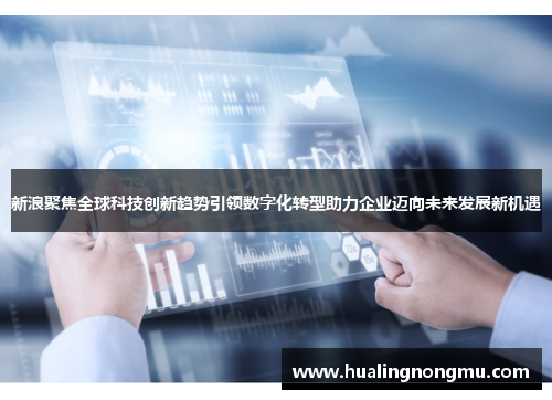 新浪聚焦全球科技创新趋势引领数字化转型助力企业迈向未来发展新机遇