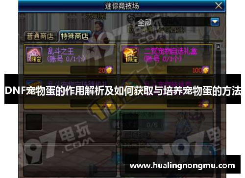 DNF宠物蛋的作用解析及如何获取与培养宠物蛋的方法