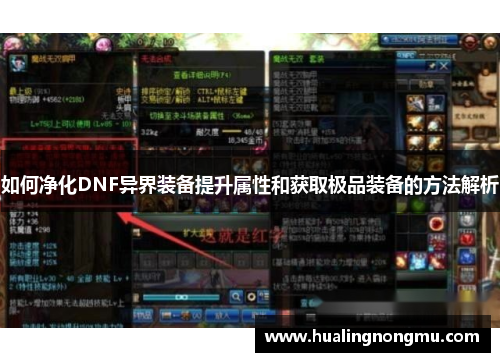 如何净化DNF异界装备提升属性和获取极品装备的方法解析