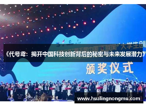 《代号鸢：揭开中国科技创新背后的秘密与未来发展潜力》