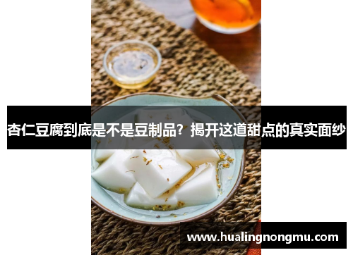 杏仁豆腐到底是不是豆制品？揭开这道甜点的真实面纱