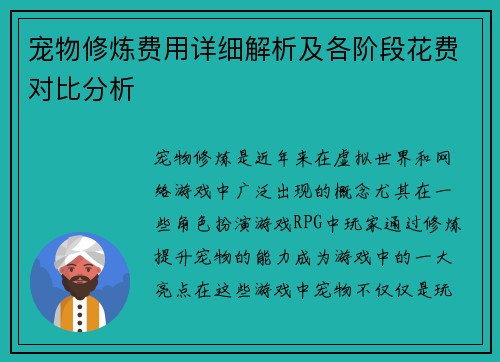 宠物修炼费用详细解析及各阶段花费对比分析